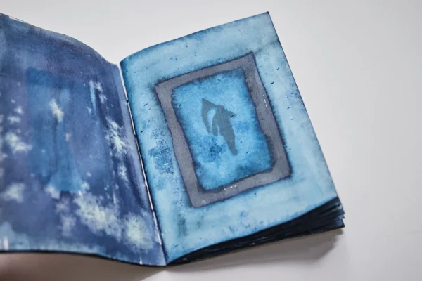 Fahnenträger (Buch) Gallery Image