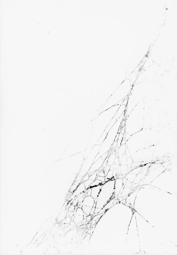 Konstruktionen Featured Image