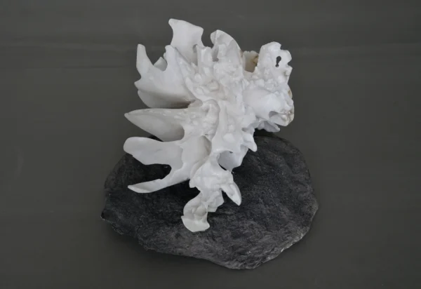 Mockingstone Featured Image