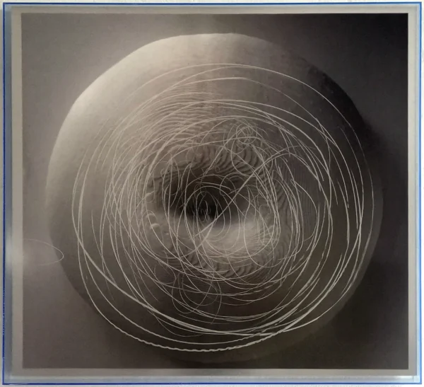Mondnabel Featured Image