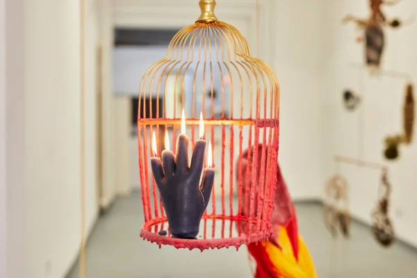 Phoenixkin Gallery Image