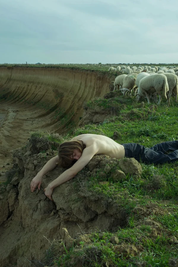 The gras was greener in my dreams Featured Image
