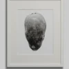 The private potatoe collection Featured Image