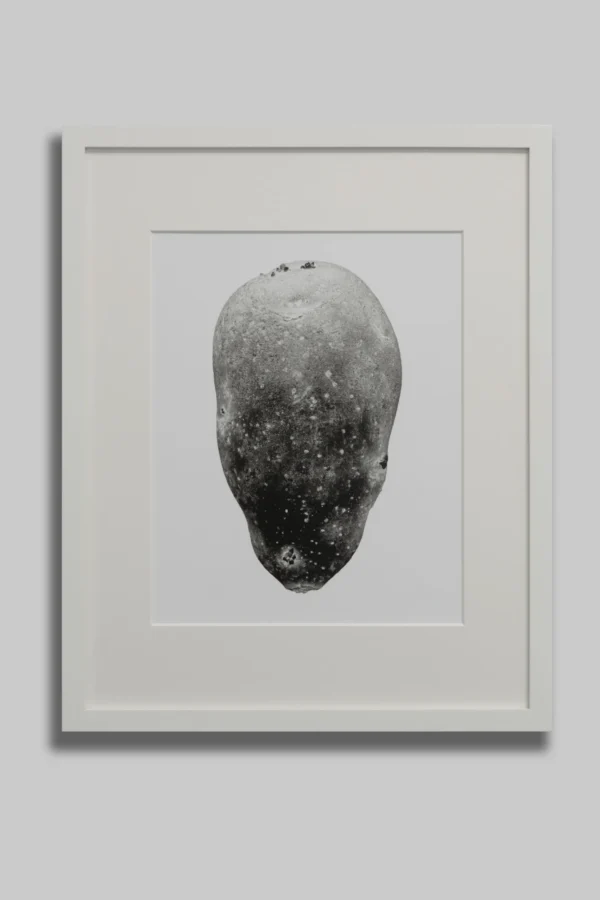 The private potatoe collection Featured Image
