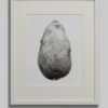 The private potatoe collection Featured Image
