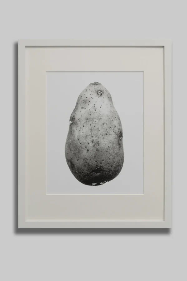 The private potatoe collection Featured Image