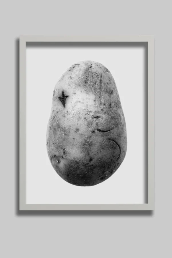 The private potatoe collection Featured Image