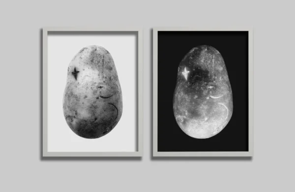 The private potatoe collection Gallery Image