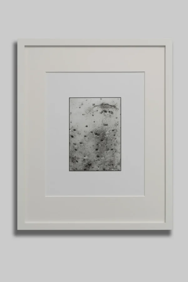 The private potatoe collection Featured Image