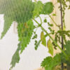 Untitled - Gallery image 4
