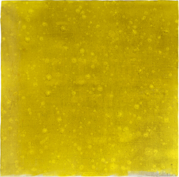 Untitled (Sommerregen 2)