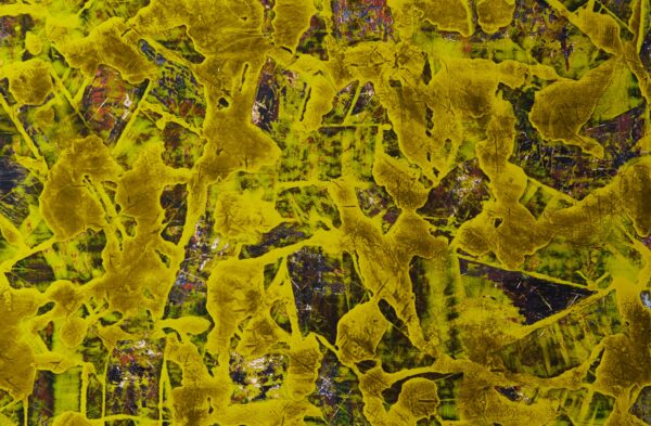 Yellowish - Gallery image 2