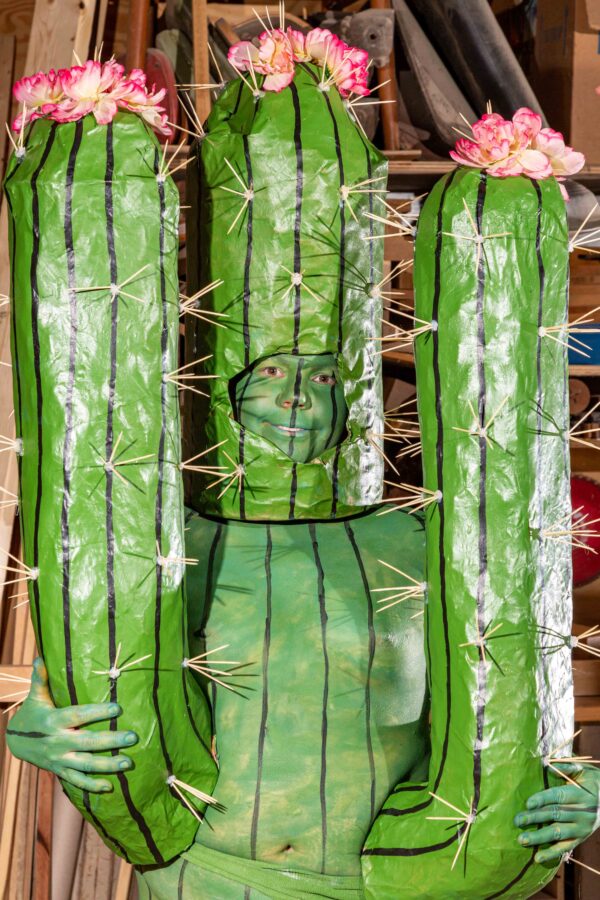 I want to be a cactus, ok in my natural form 2
