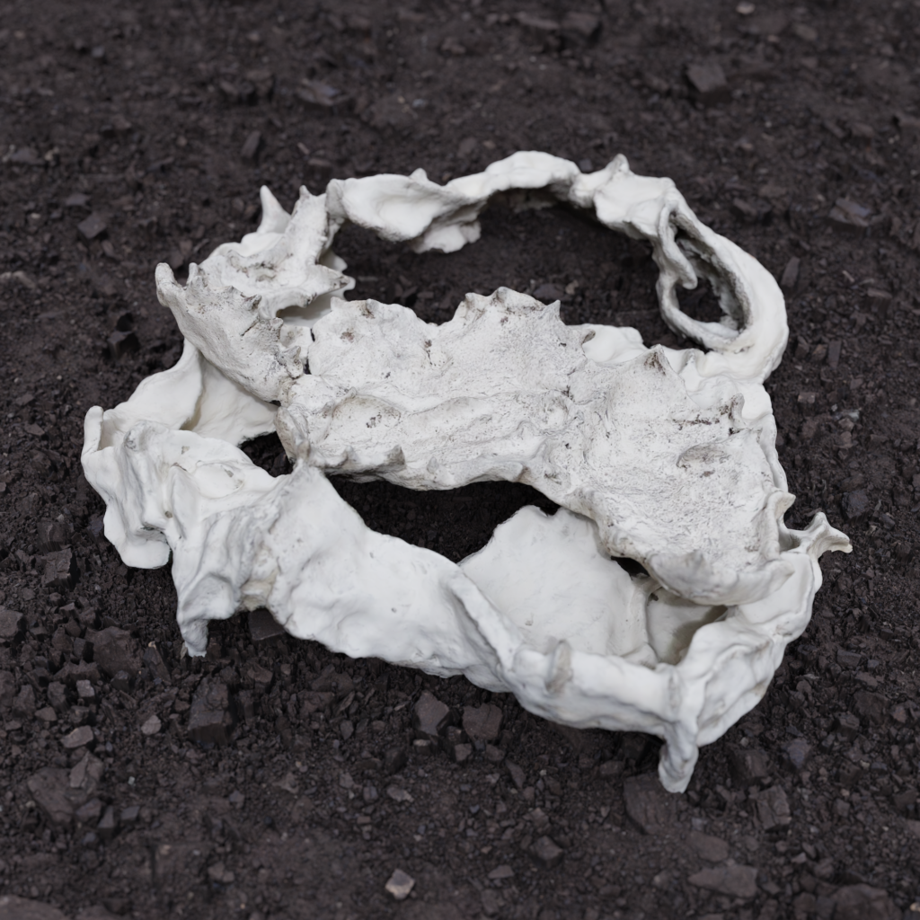 ART-RNG-ST-220615-002